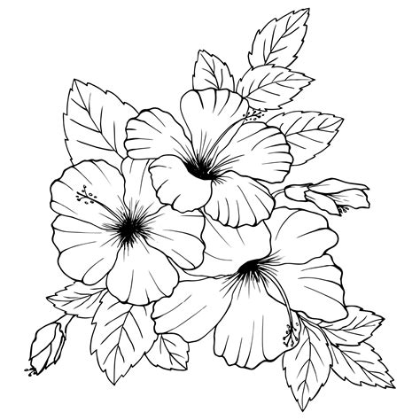 line drawings of flowers|More.